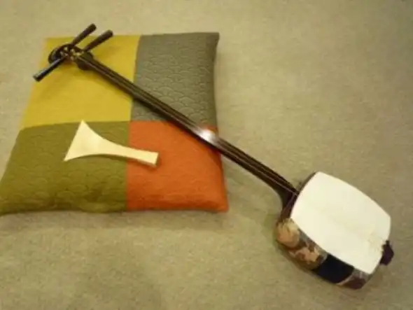 A hosozao or think necked shamisen resting on a pillow.